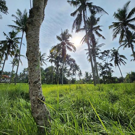 Casa Idea Ubud Exteriér fotografie